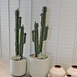 Cactii- Arizona Cactus 2m triple-stem - artificial plants, flowers & trees - image 4